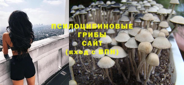 2c-b Абинск