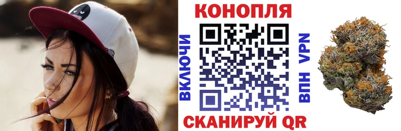 купить наркотик  blacksprut как войти  Бошки марихуана марихуана  Емва 